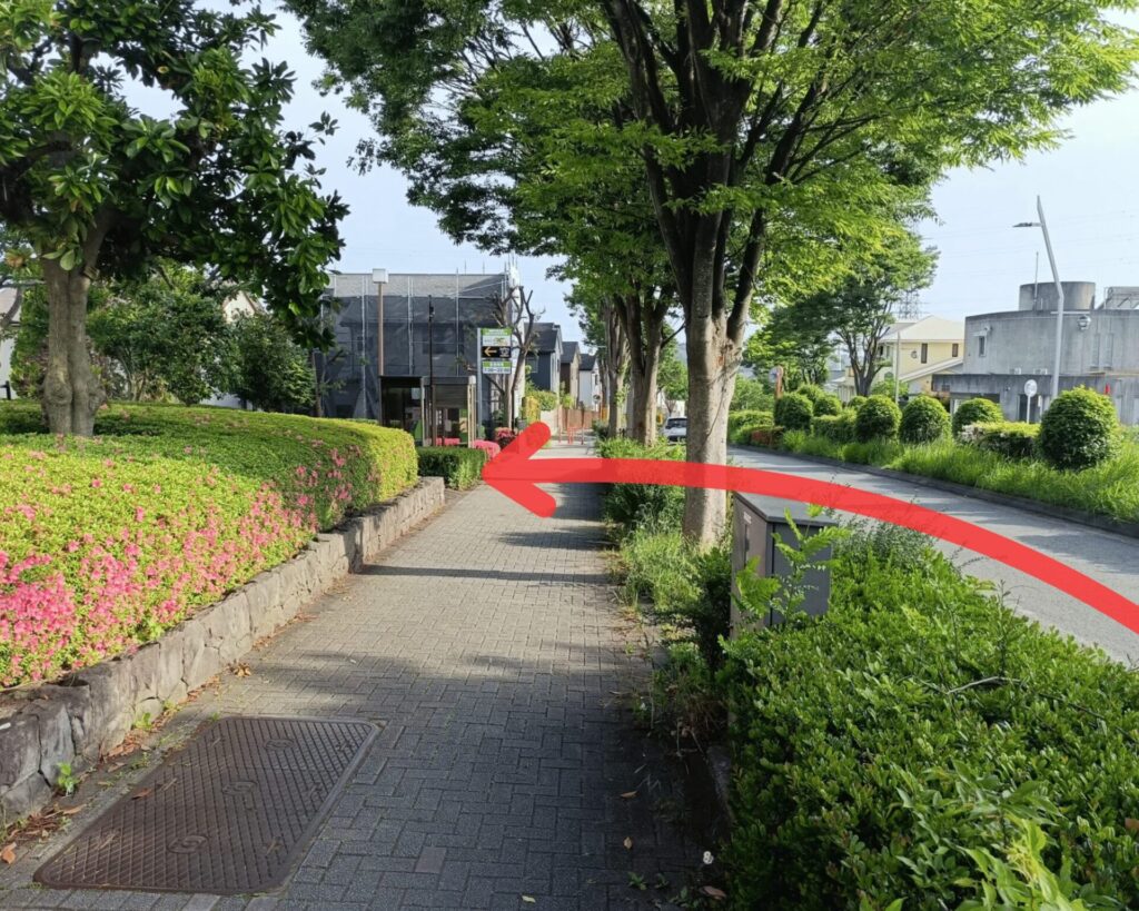 稲城中央公園_稲城のミカタ