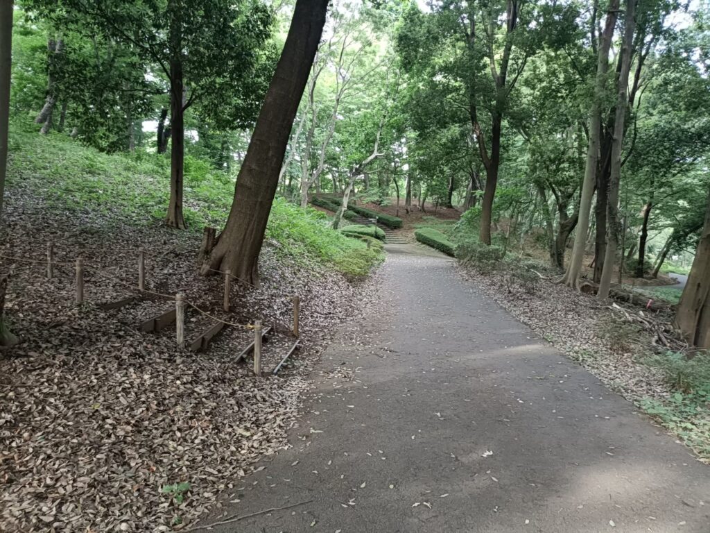 稲城中央公園_稲城のミカタ