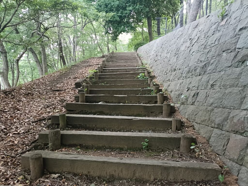 稲城中央公園_稲城のミカタ