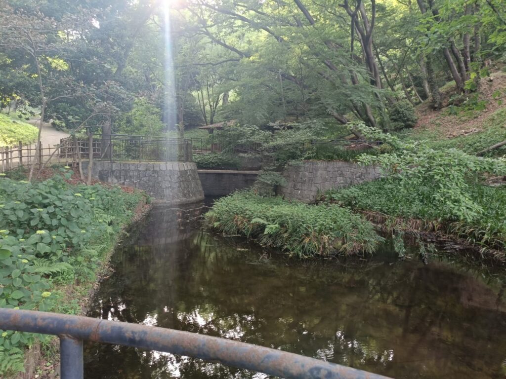 稲城中央公園_稲城のミカタ