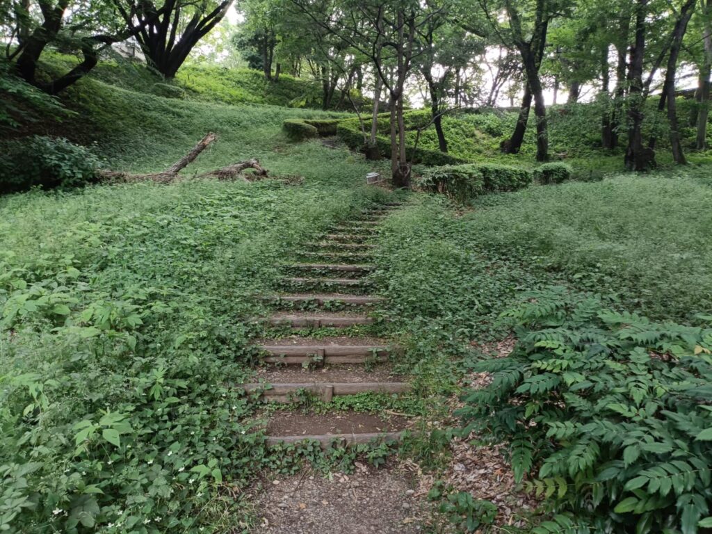 稲城中央公園_稲城のミカタ