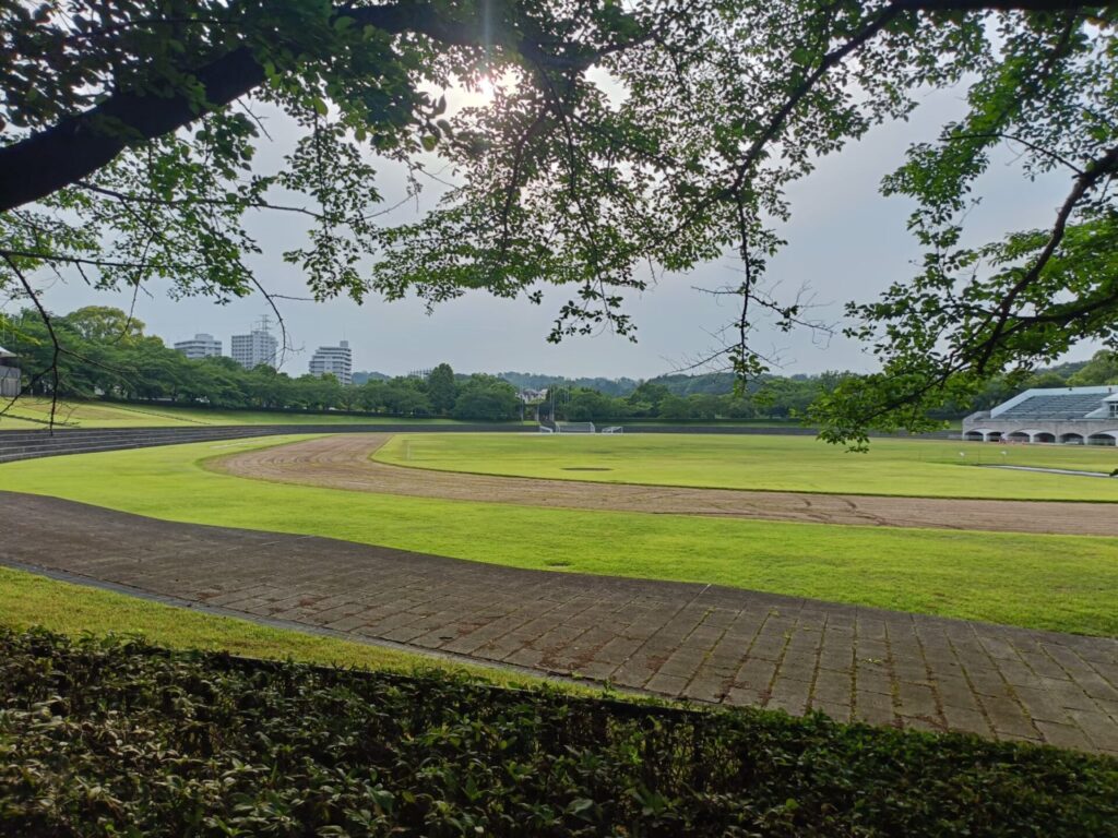 稲城中央公園_稲城のミカタ