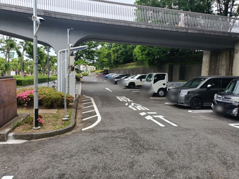 稲城中央公園_稲城のミカタ